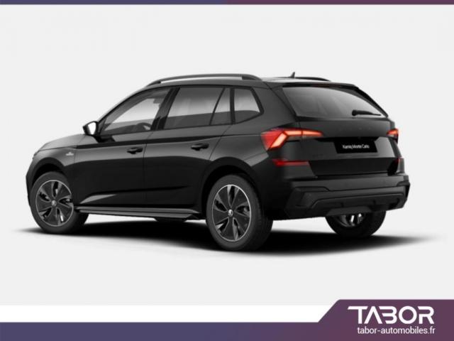Skoda Kamiq image 2
