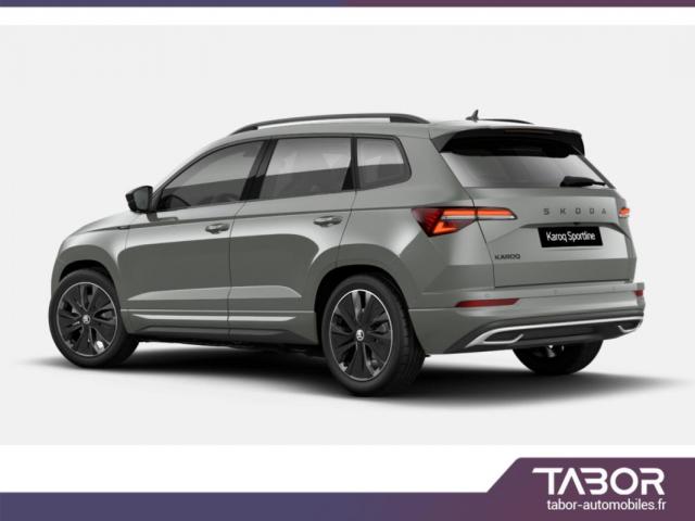 Skoda Karoq image 1
