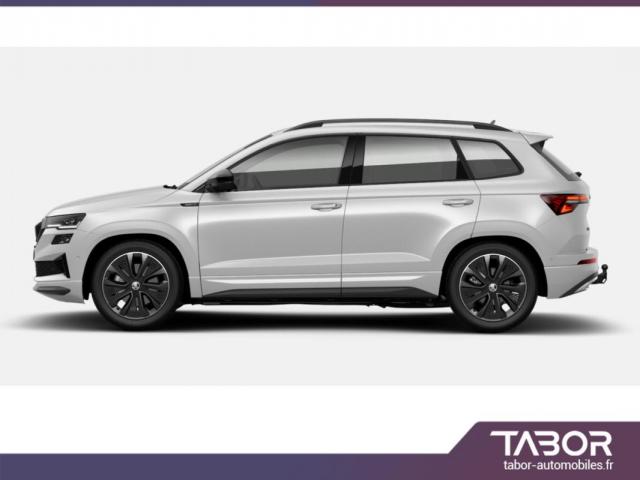 Skoda Karoq image 2