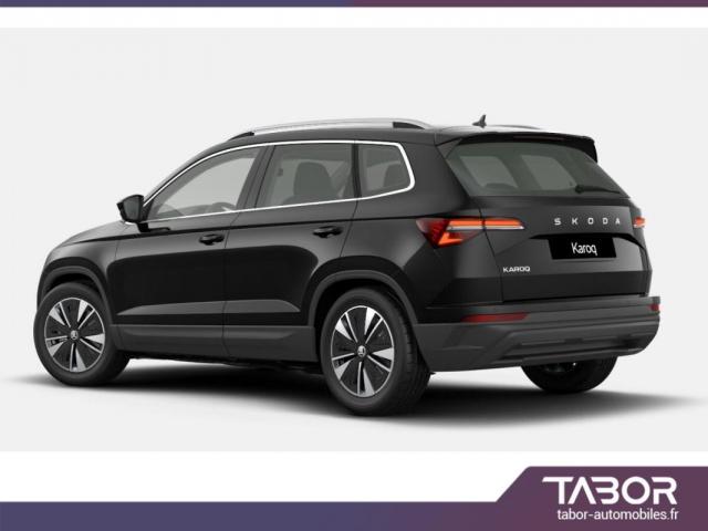 Skoda Karoq image 5