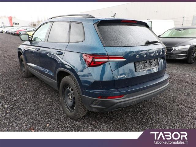 Skoda Karoq image 2