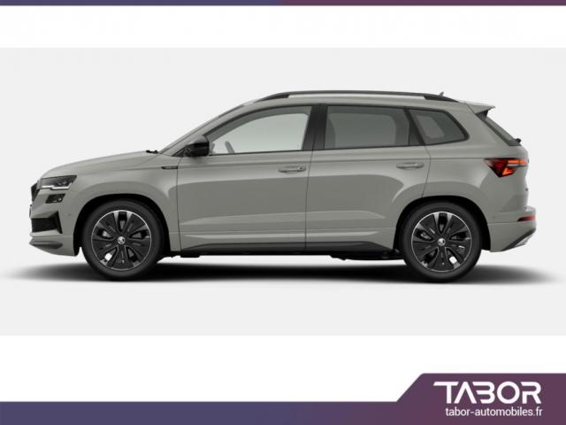 Skoda Karoq image 6