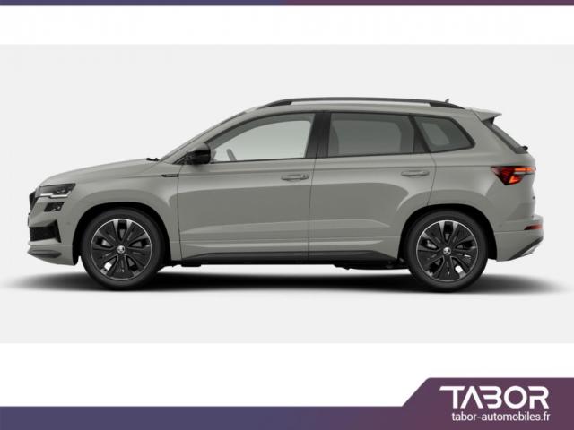 Skoda Karoq image 6