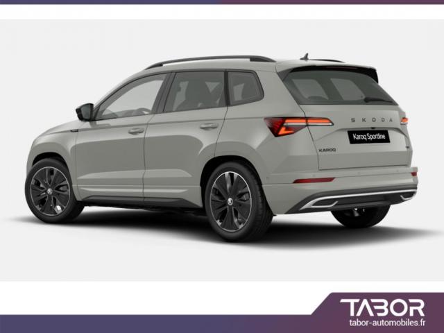 Skoda Karoq image 5