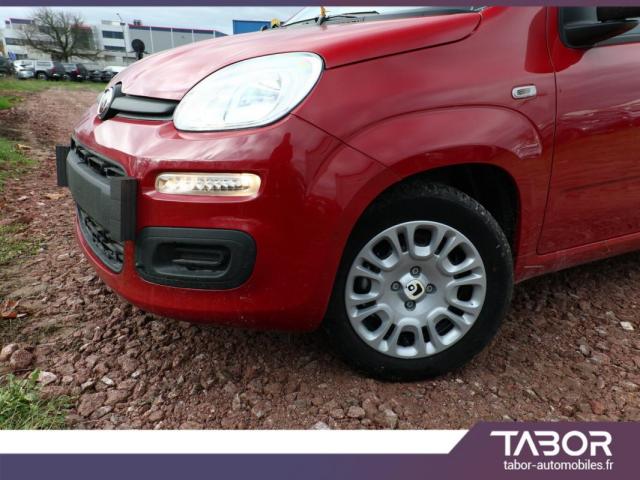 Fiat Panda image 9