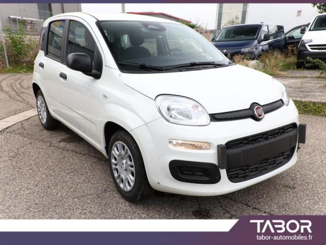 Fiat Panda image 5