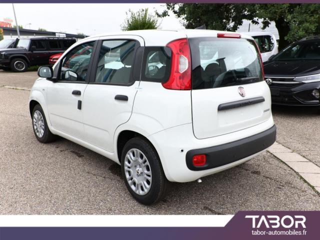 Fiat Panda image 9