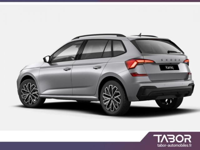 Skoda Kamiq image 1