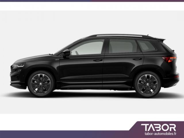 Skoda Karoq image 3