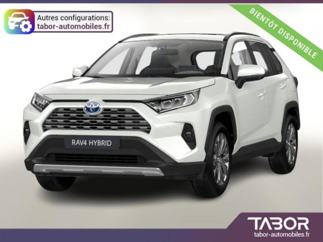 Toyota Rav4 Hybrid Teamplayer Elhayon Chauffs