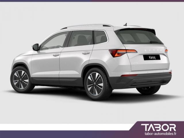 Skoda Karoq image 9