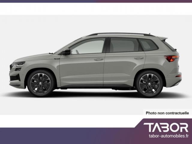 Skoda Karoq image 2