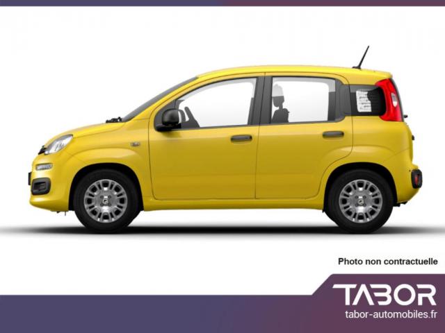 Fiat Panda image 8
