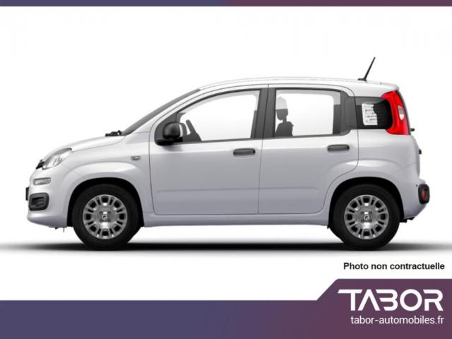 Fiat Panda image 9