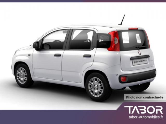 Fiat Panda image 6