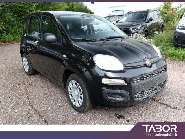 Fiat Panda image 1