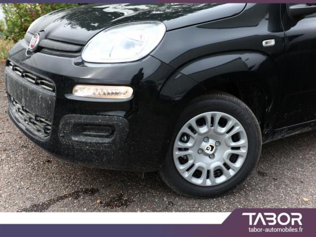 Fiat Panda image 7