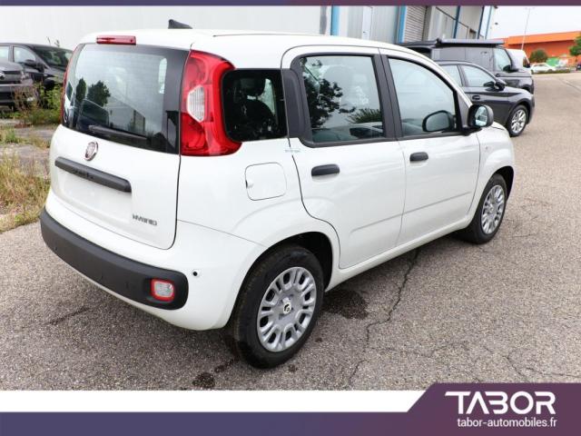 Fiat Panda image 4