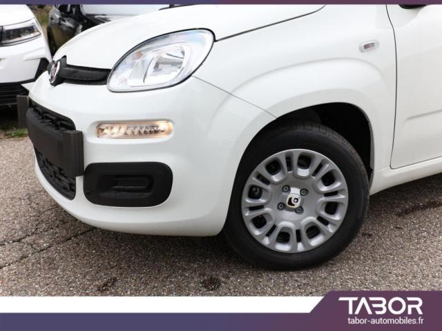 Fiat Panda image 9