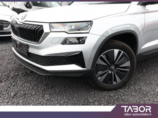 Skoda Karoq image 2