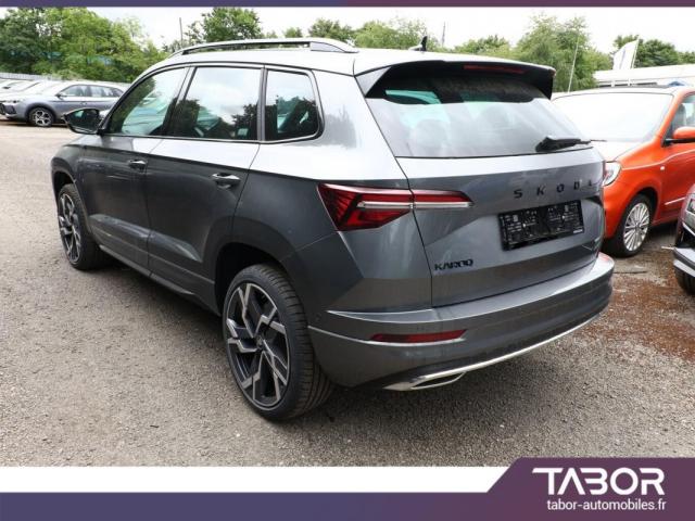 Skoda Karoq image 9