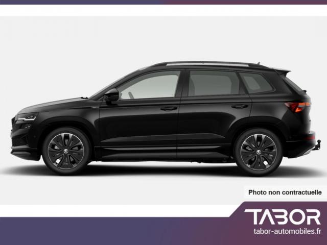 Skoda Karoq image 9