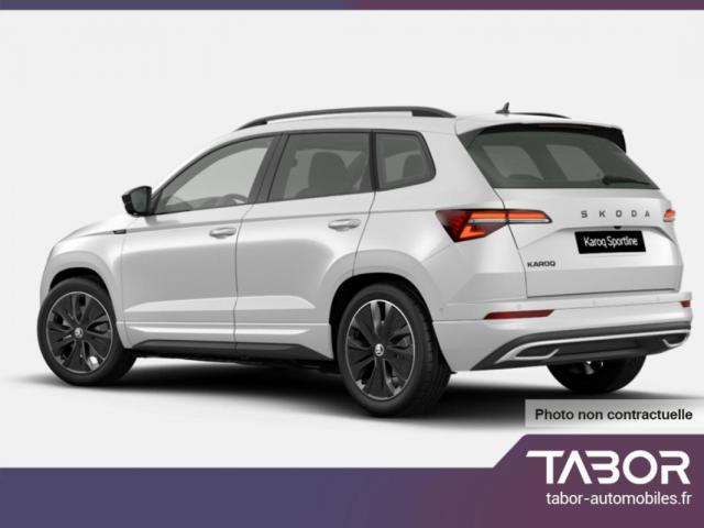Skoda Karoq image 6