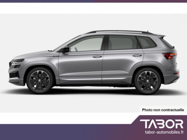 Skoda Karoq image 1