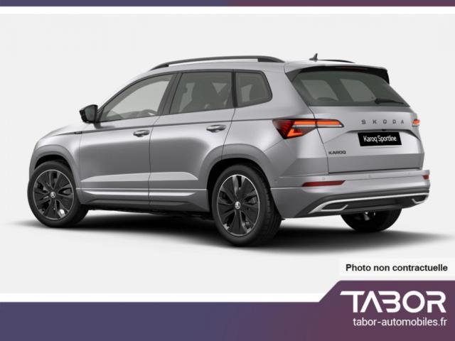 Skoda Karoq image 8