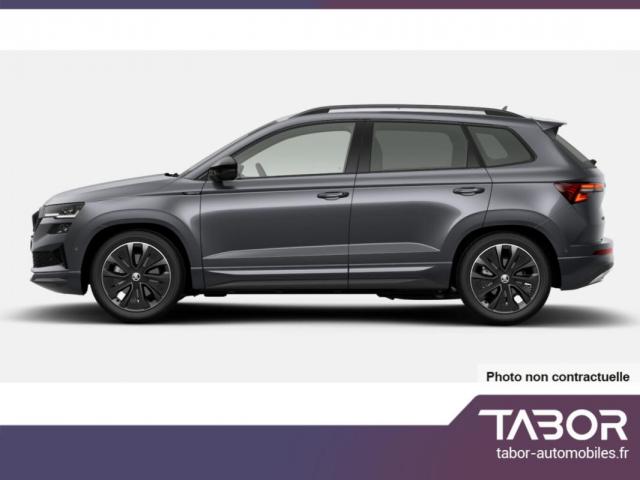 Skoda Karoq image 1