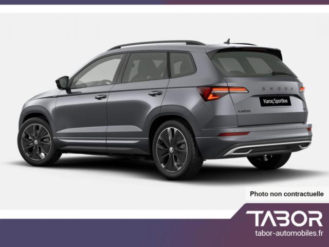 Skoda Karoq image 9