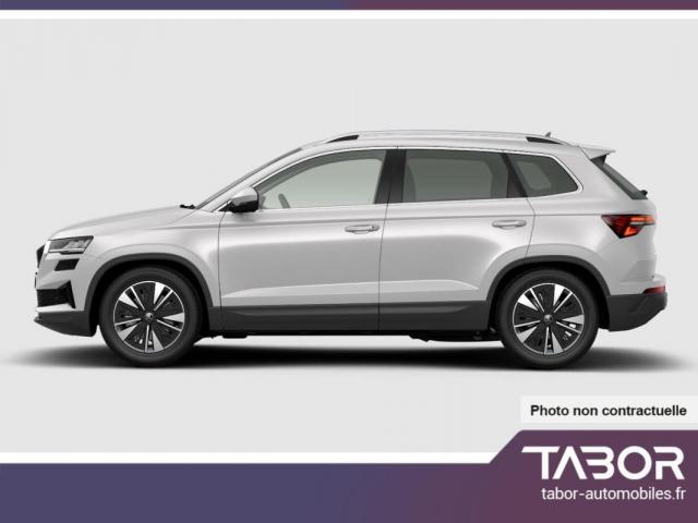 Skoda Karoq image 4