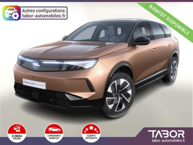 Opel Grandland Gs Cam Gps Acc