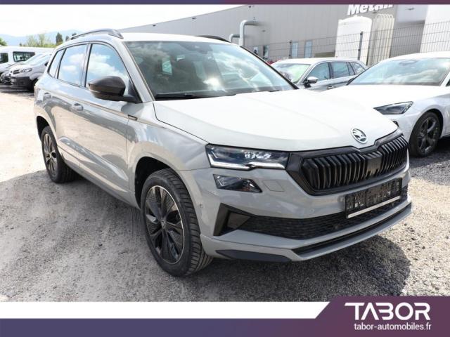Skoda Karoq image 3