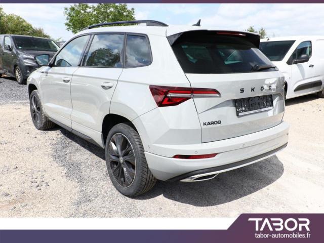 Skoda Karoq image 2