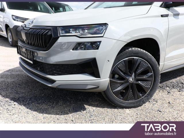 Skoda Karoq image 9