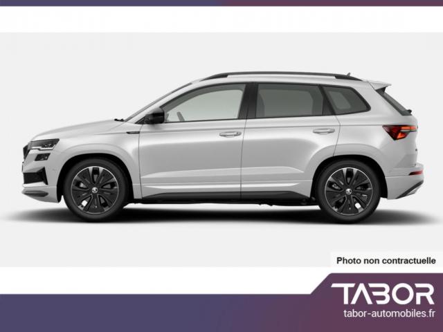 Skoda Karoq image 2