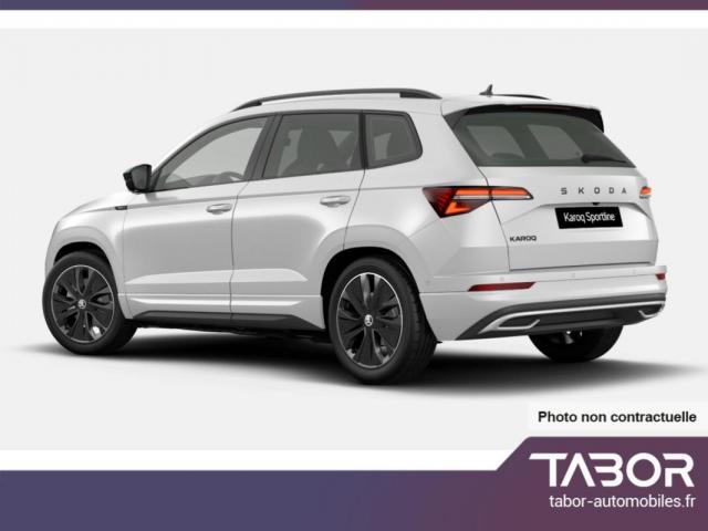 Skoda Karoq image 3
