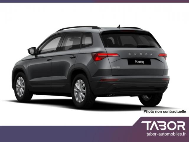 Skoda Karoq image 3