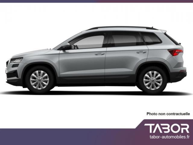 Skoda Karoq image 1