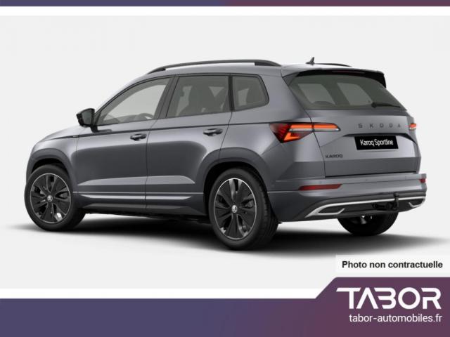 Skoda Karoq image 3