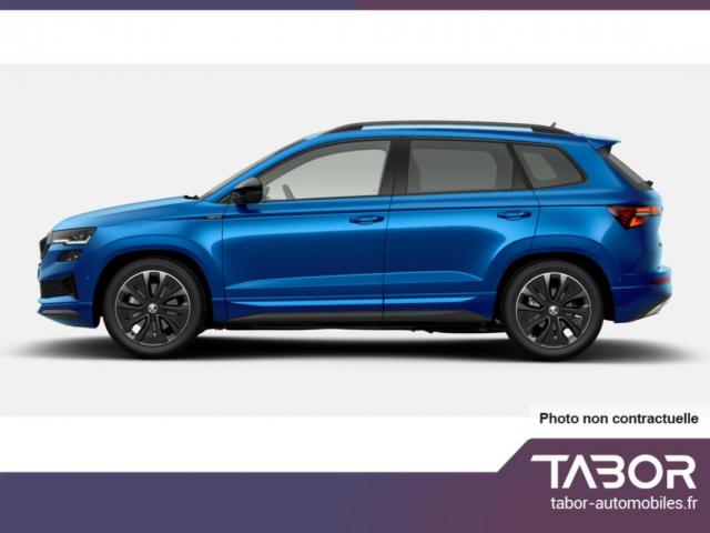 Skoda Karoq image 1