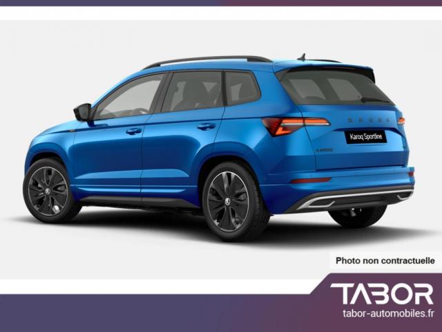 Skoda Karoq image 9