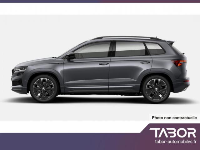 Skoda Karoq image 2