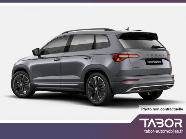 Skoda Karoq image 6