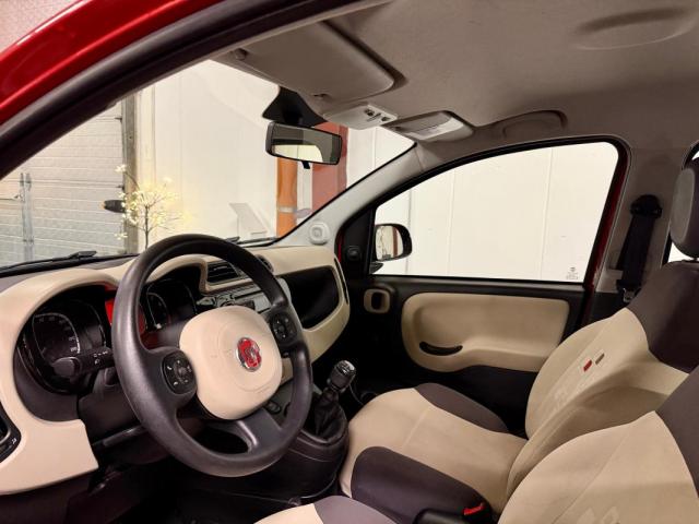 Fiat Panda image 6