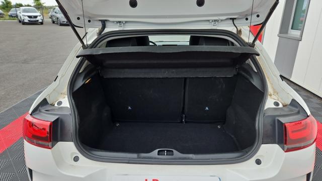 Citroen C4 Cactus image 1