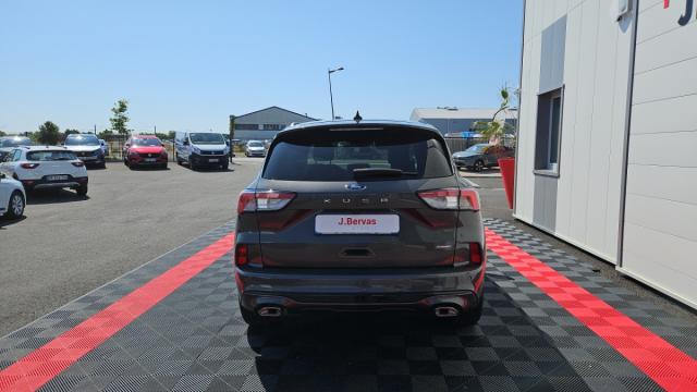 Ford Kuga image 6