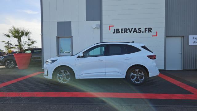 Ford Kuga image 1