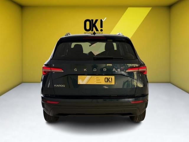 Skoda Karoq image 7
